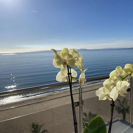 Europa 69 Roses
