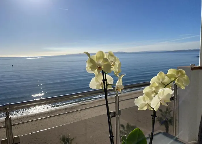 Europa 69 Roses